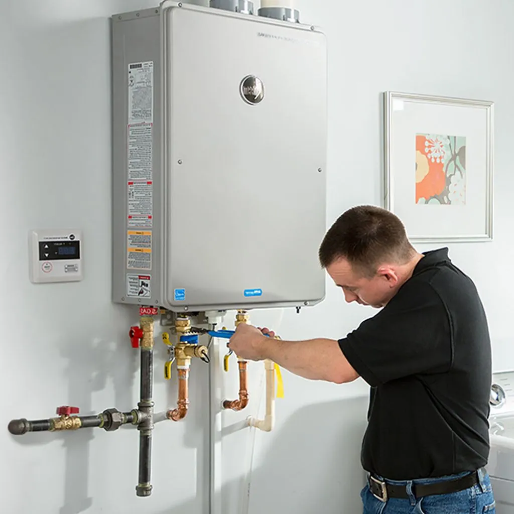 tankless water heater repair in Lambertville, MI